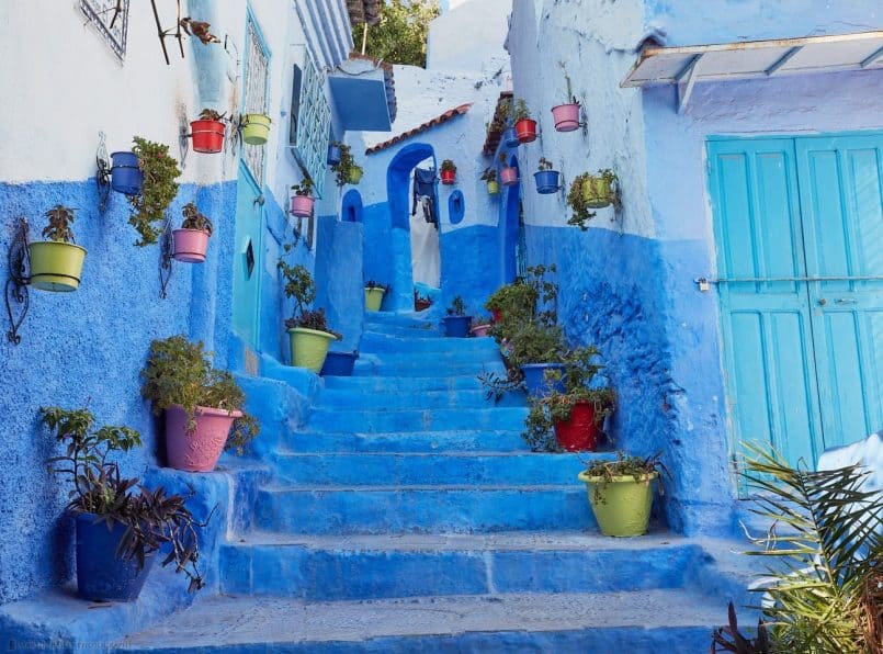 Colorful Plant Pots at Chefchaouen