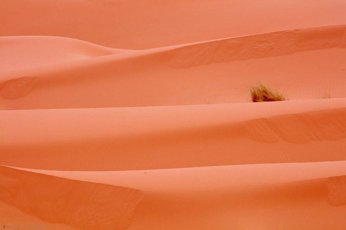 Sahara Dunes