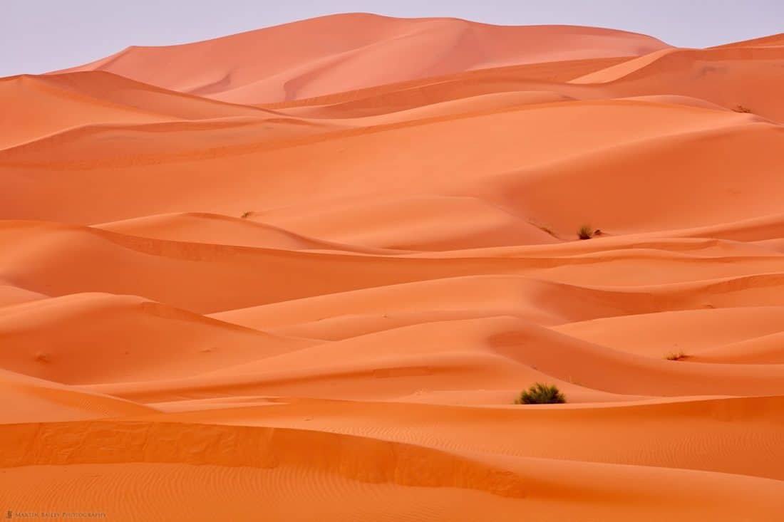 Sahara Dunes at Dawn