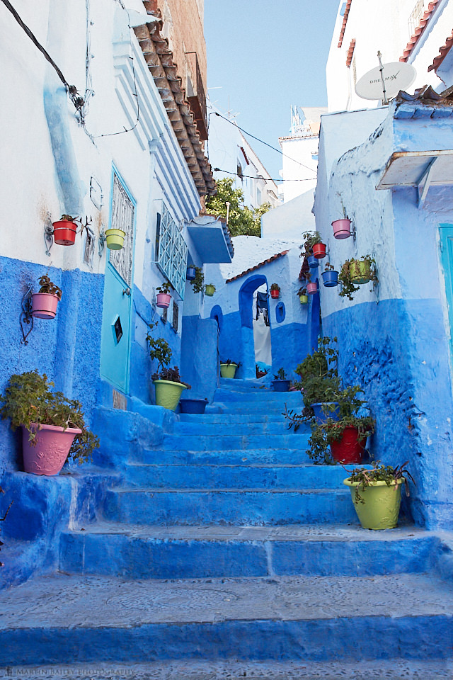 Blue Steps