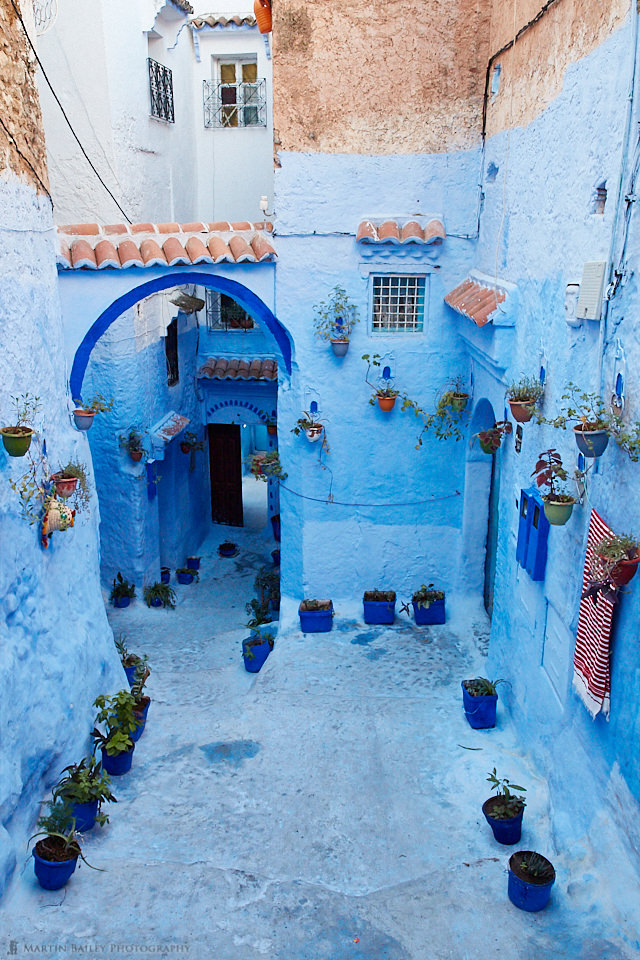 Blue Walls and Plant Pots