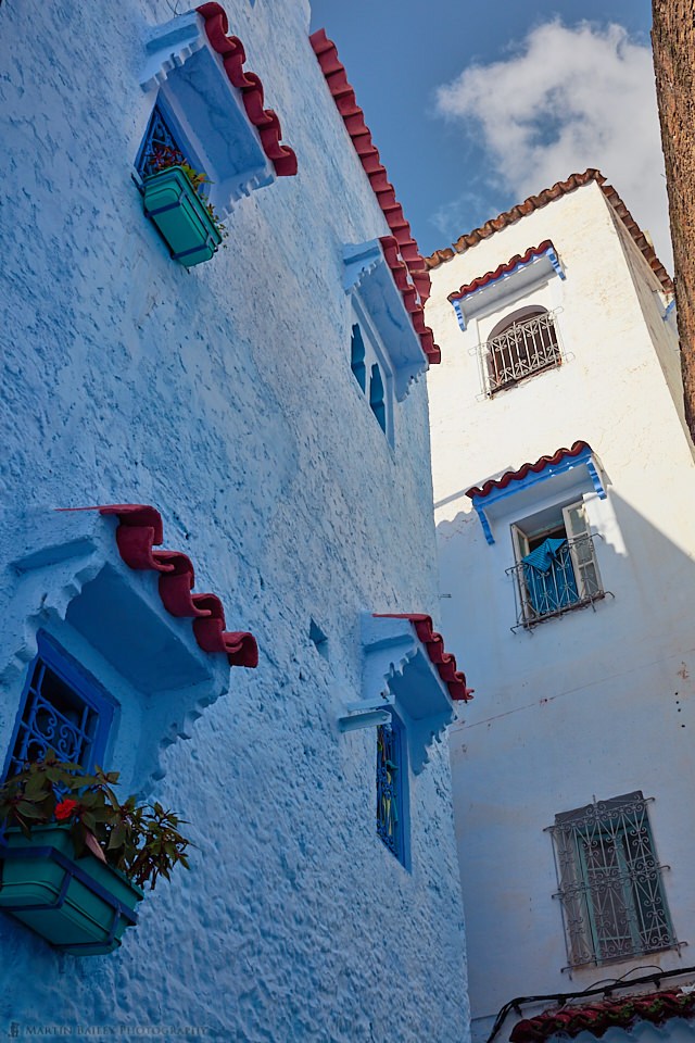 Blue and White Buildings