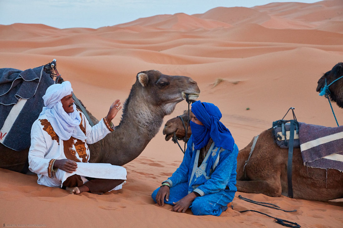 Camel Handler's Conversation