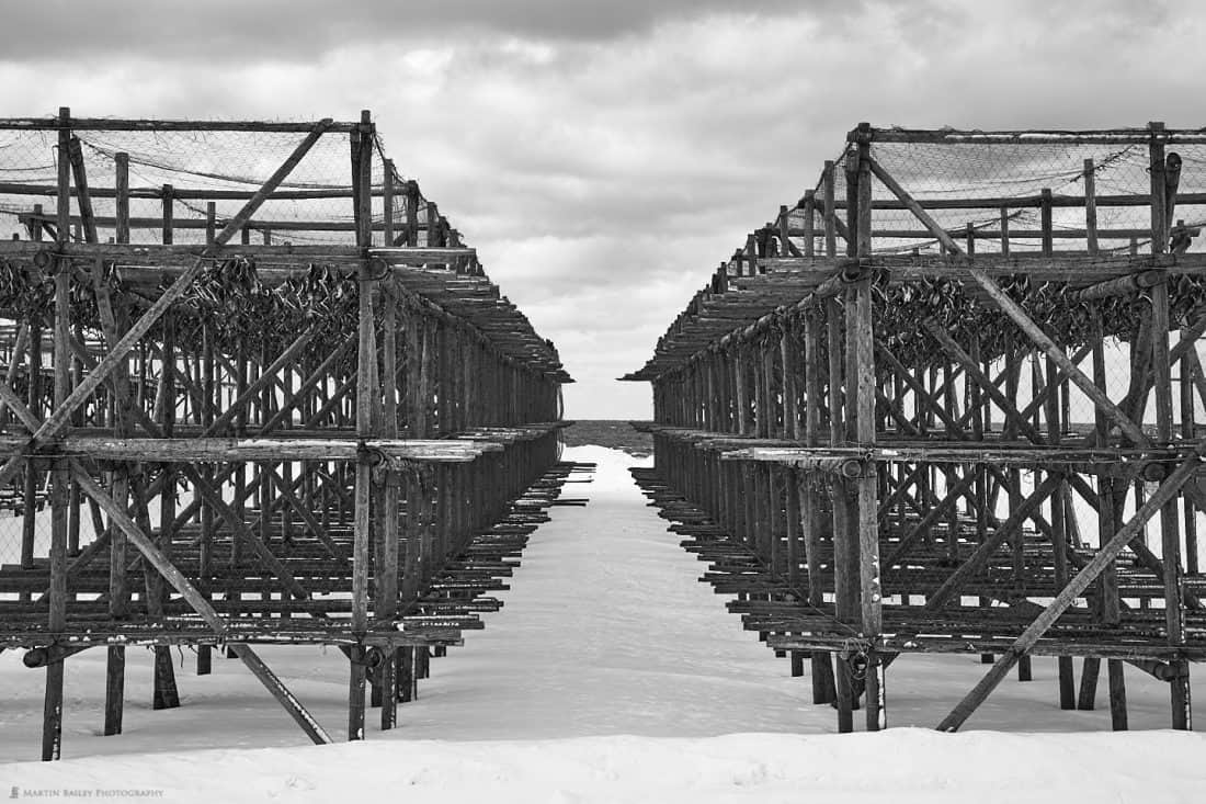 Fish Drying Frames