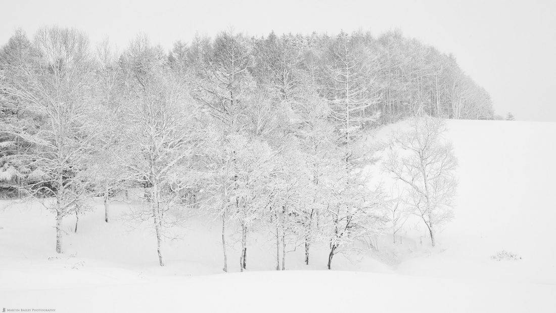 Hokkaido Winter Landscape Photography Adventure