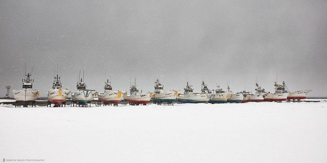 Souya Harbor Boats