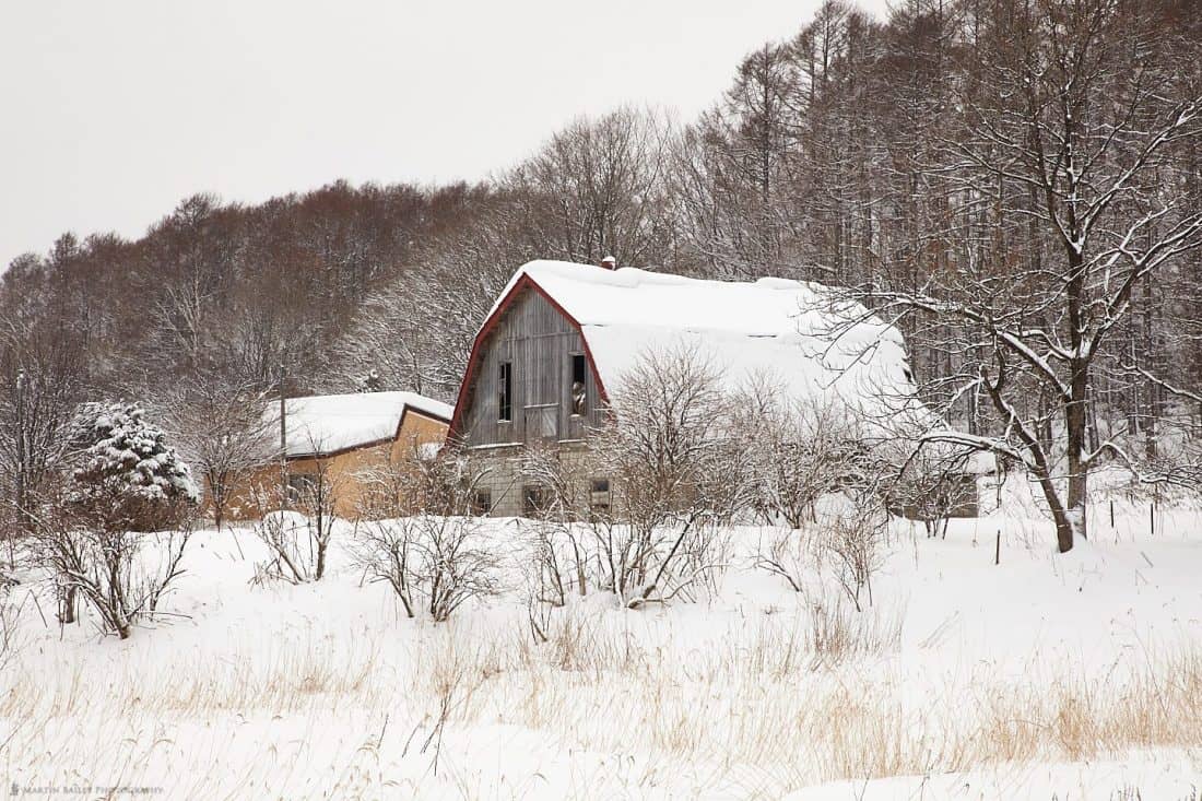 Winter Barn