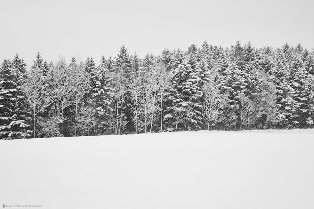 Contrasting Trees