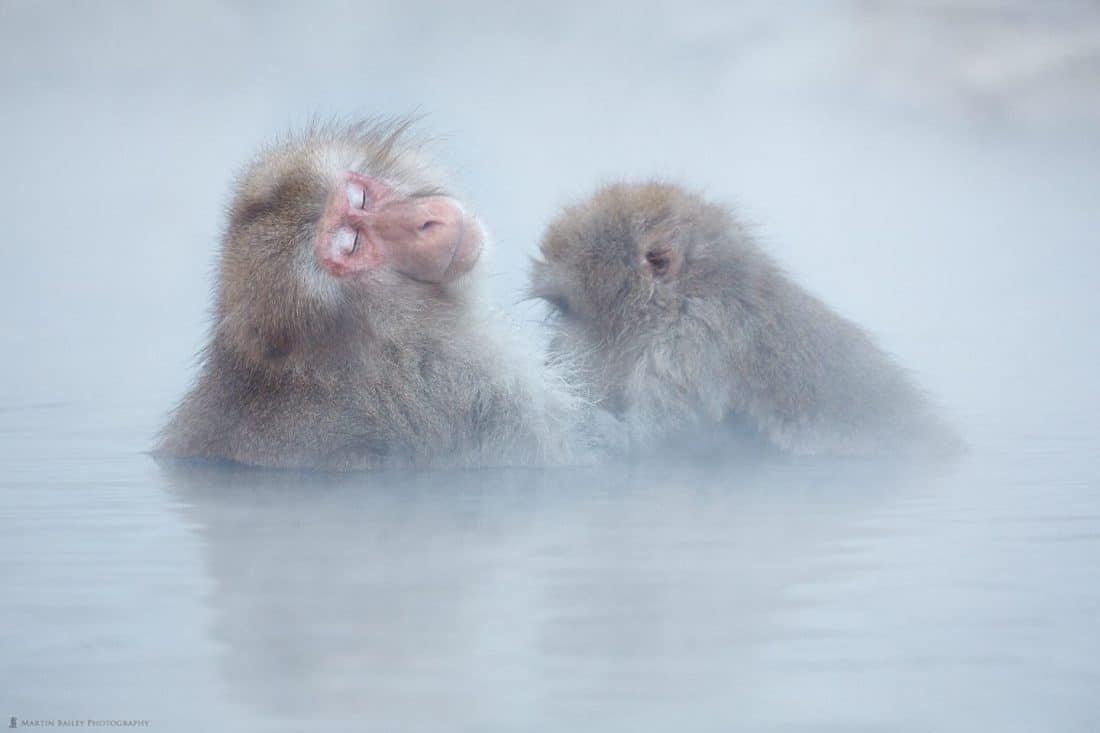 Relaxed Grooming