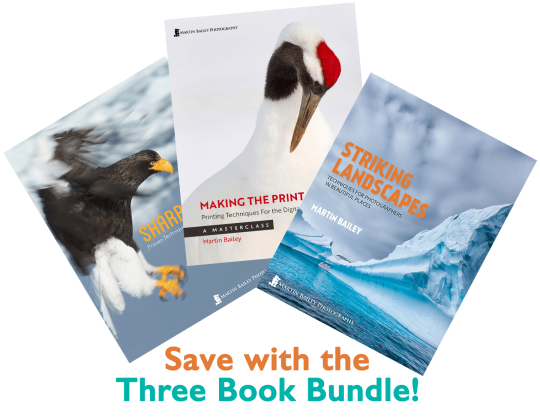 Three Book Bundle