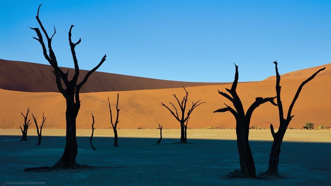 Deadvlei Bands of Color