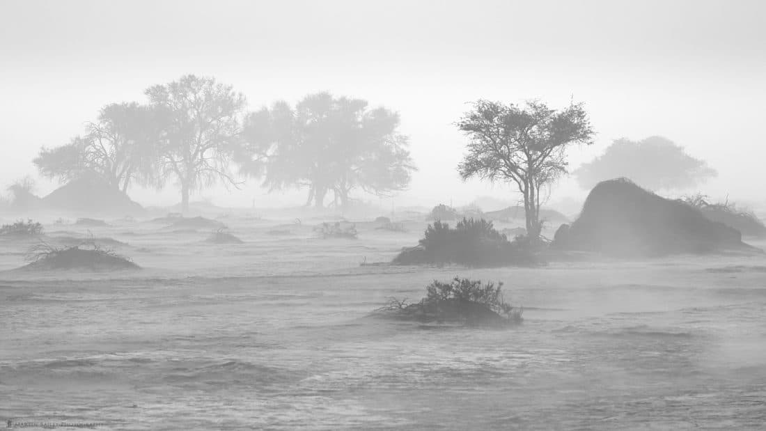 Sossusvlei Sandstorm