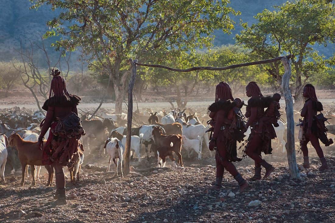 Himba with Babies