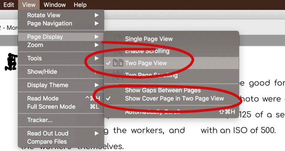 Acrobat Reader Page Settings