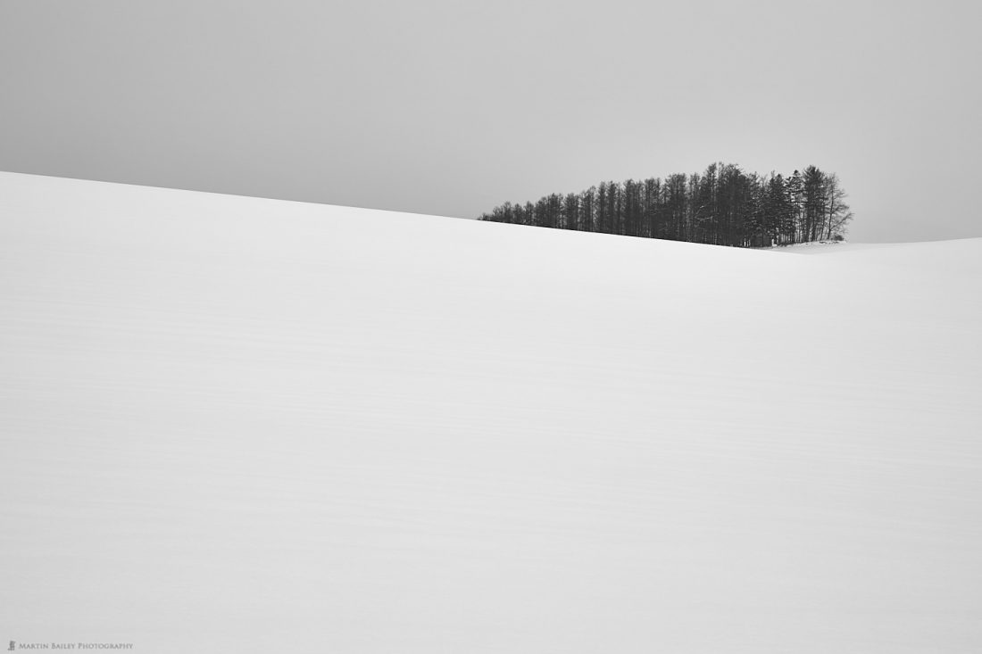 Biei Copse in Hills