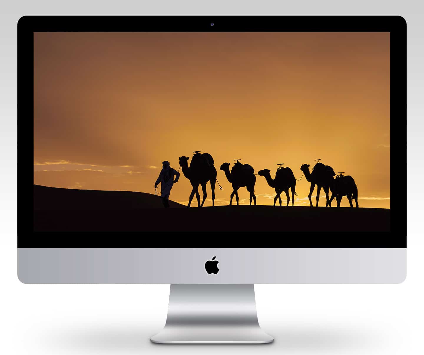 Camel Train Sunset Wallpaper