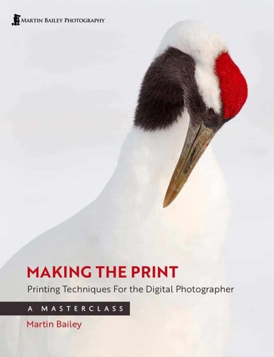 Making the Print - Printing Techniques for the Digital Photographer