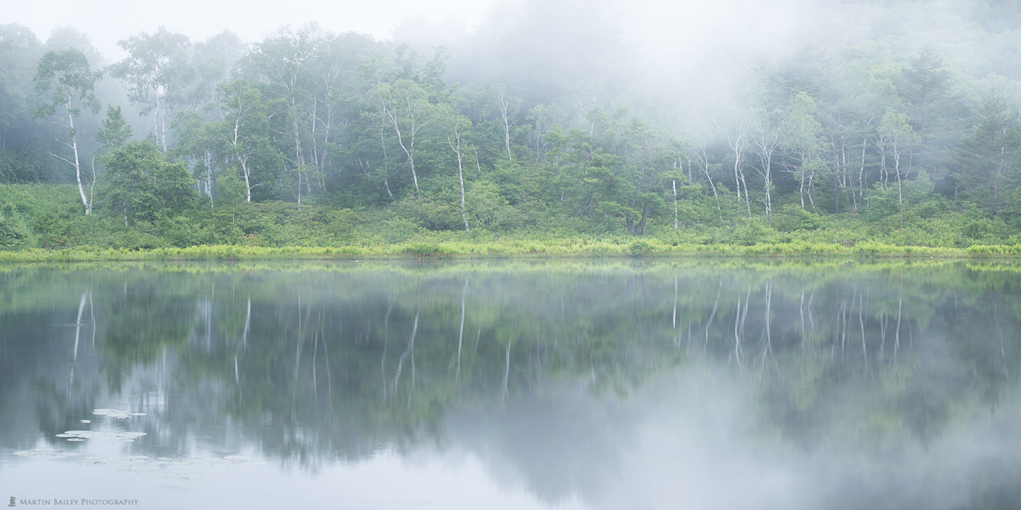 Ichinuma in the Mist