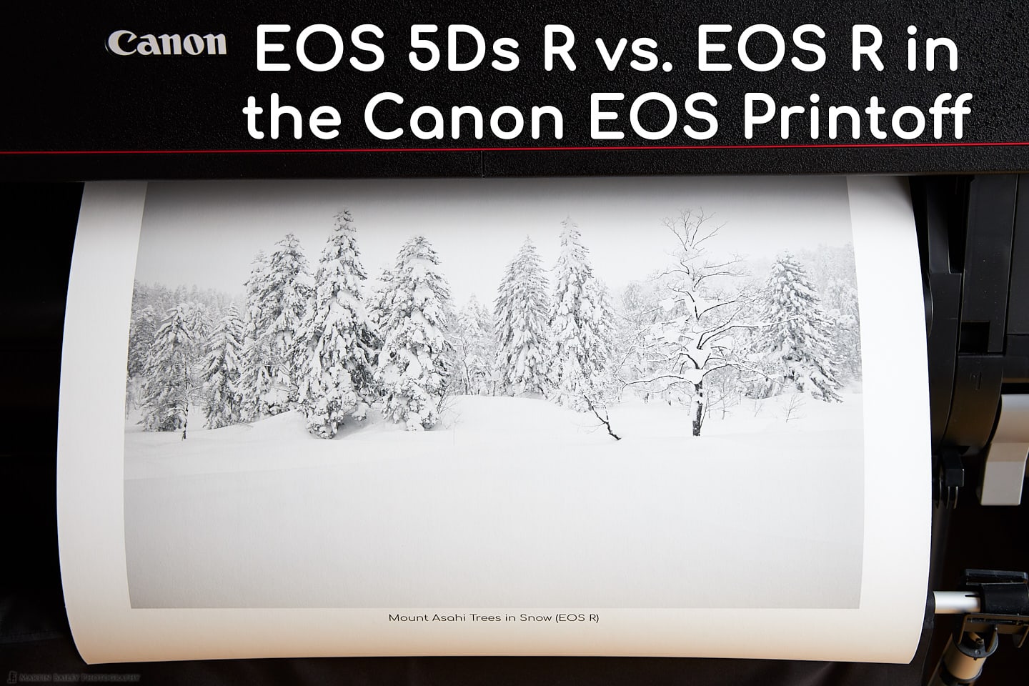 Canon EOS 5Ds R vs. EOS R Printoff (Podcast 660)