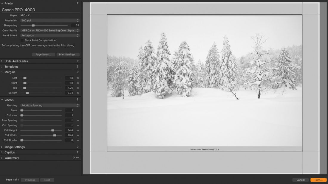 Printing EOS R Image from Capture One Pro