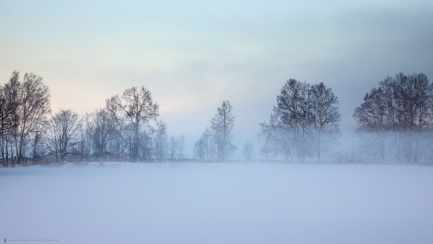 Dawn Mist in Biei