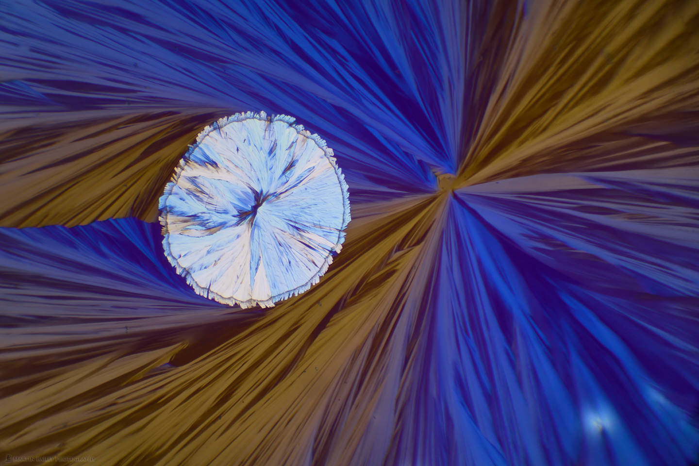 Meandering to Warp Speed (Citric Acid Crystals 100X 23 Frames)