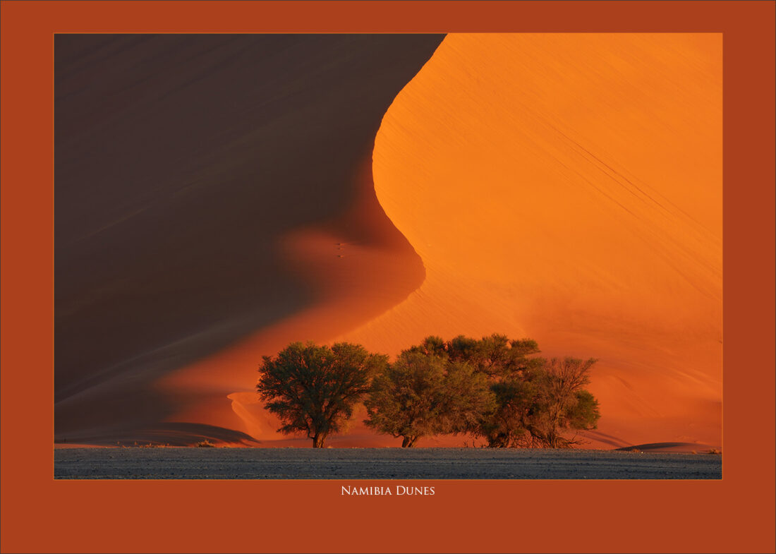 Namibia Dunes