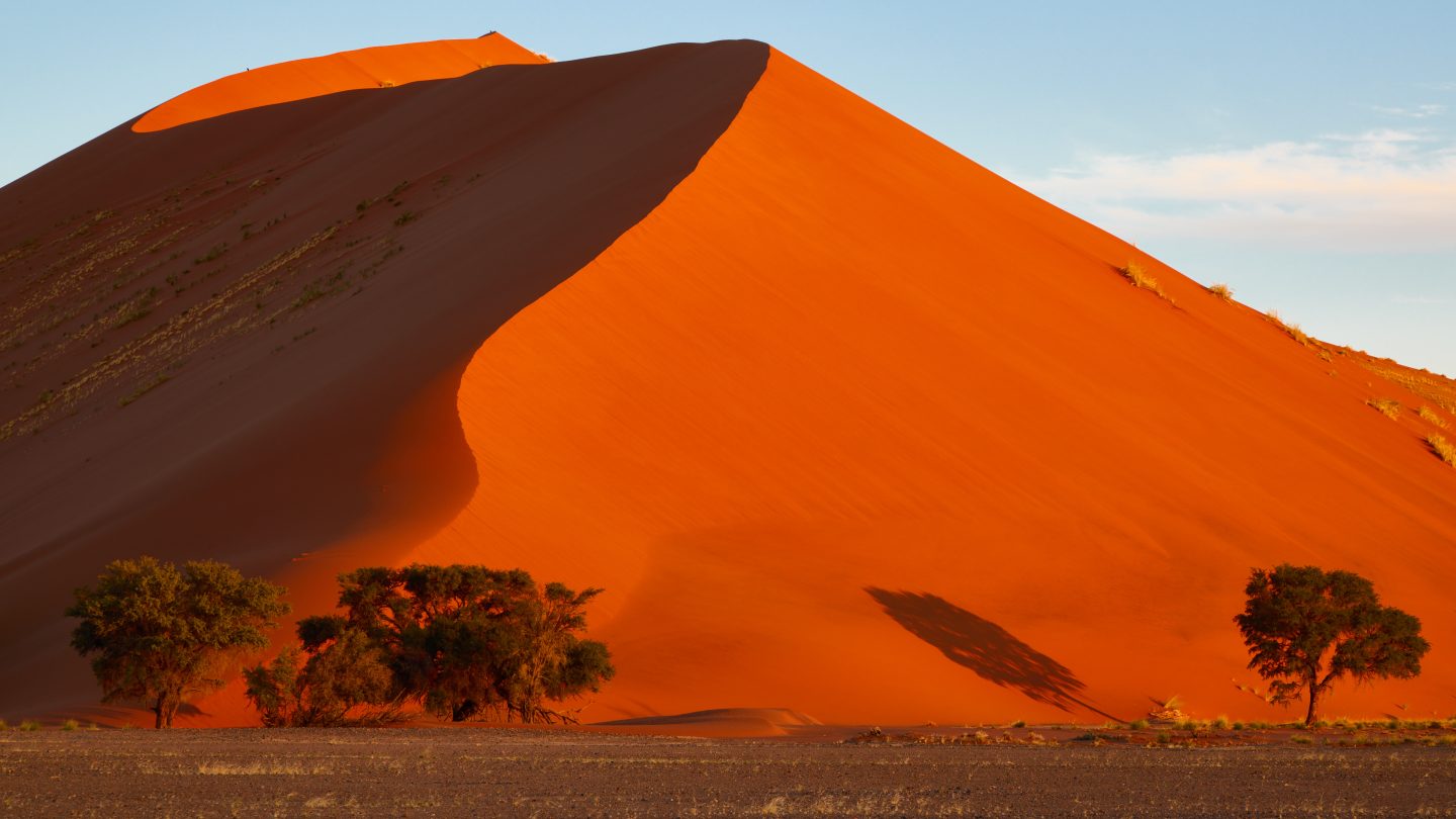 Sand Dune and Trees at Sunset