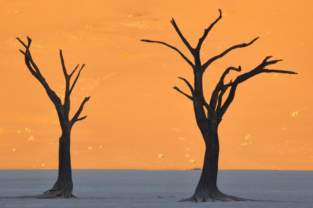 Deadvlei Silhouettes 2022