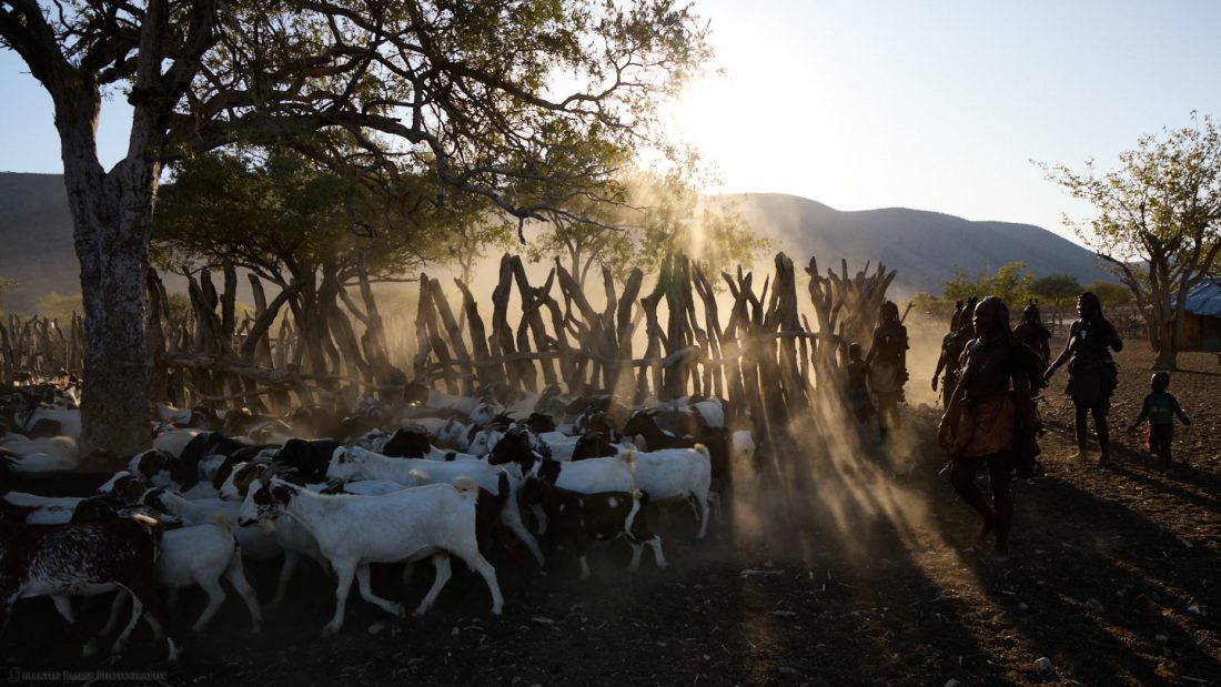 Sun Rays through the Corral