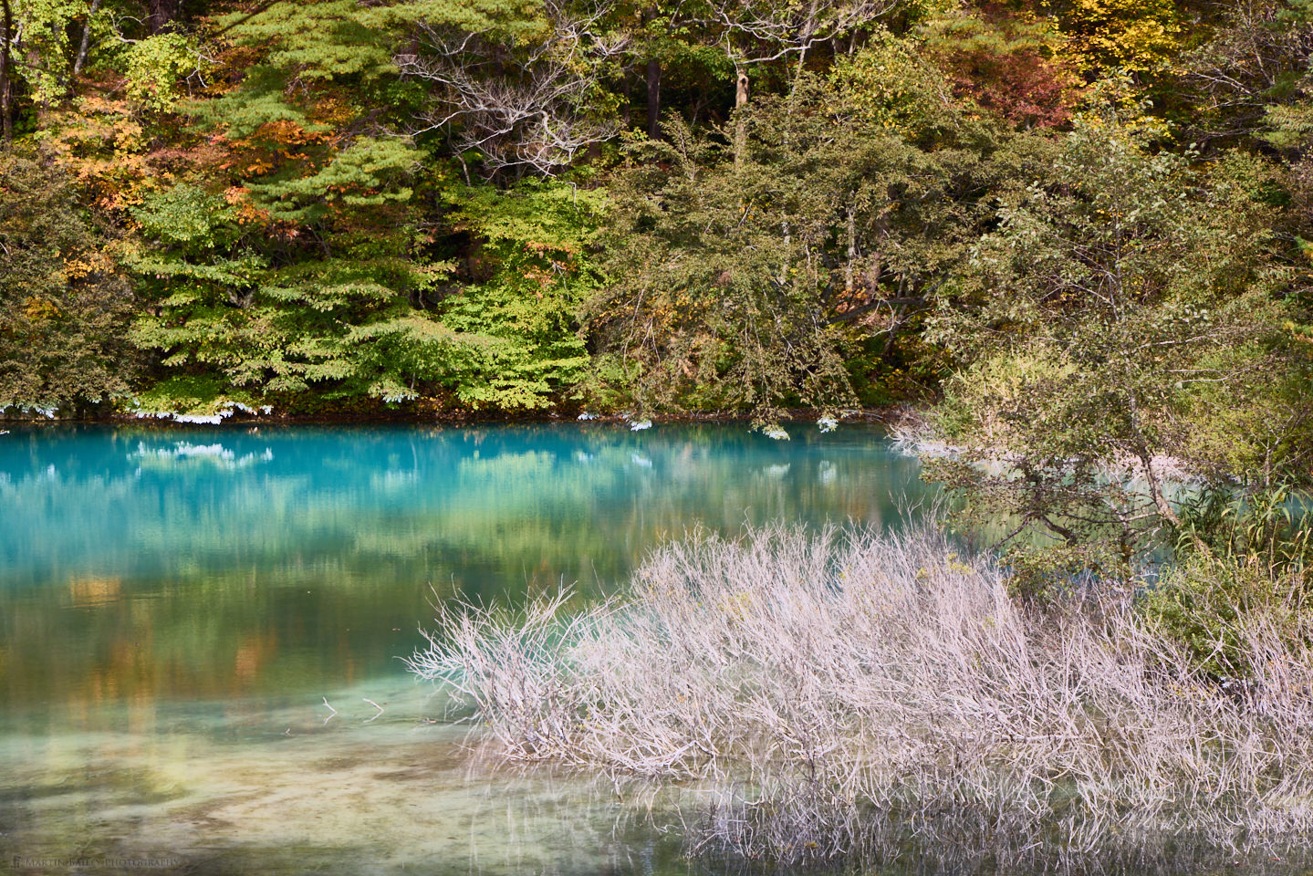 Aonuma (Blue Pond)