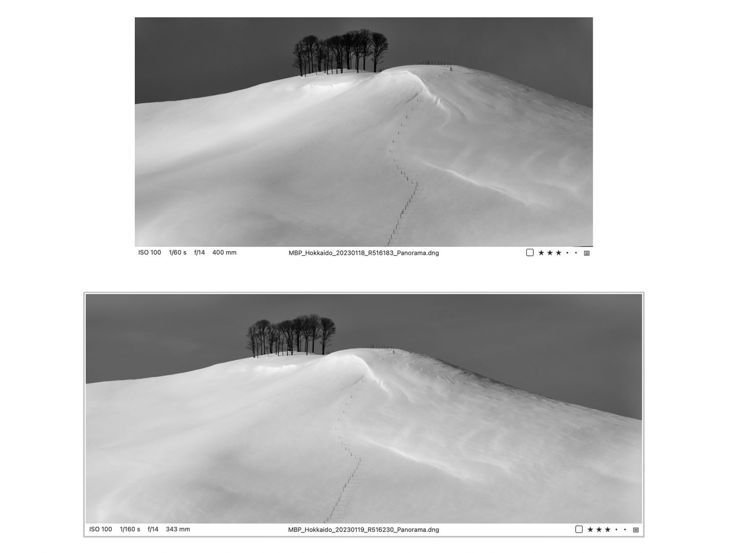 Copse on Hilltop Comparison