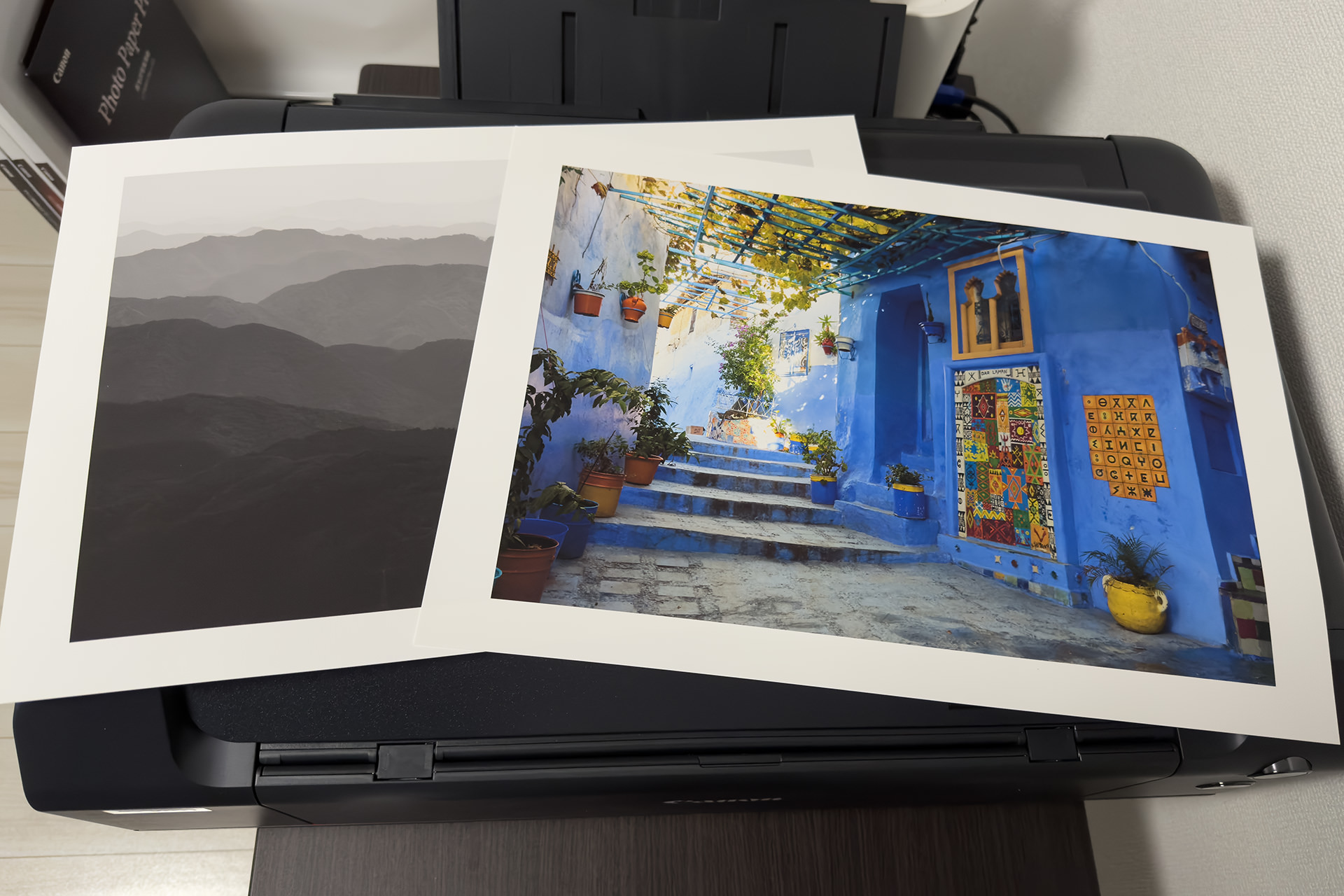 PRO1100 Prints